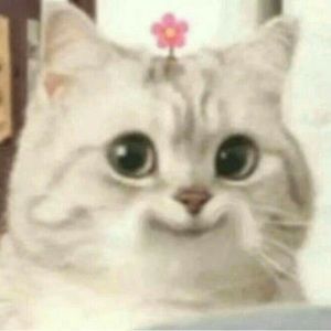 Meet your Posher, Ariel